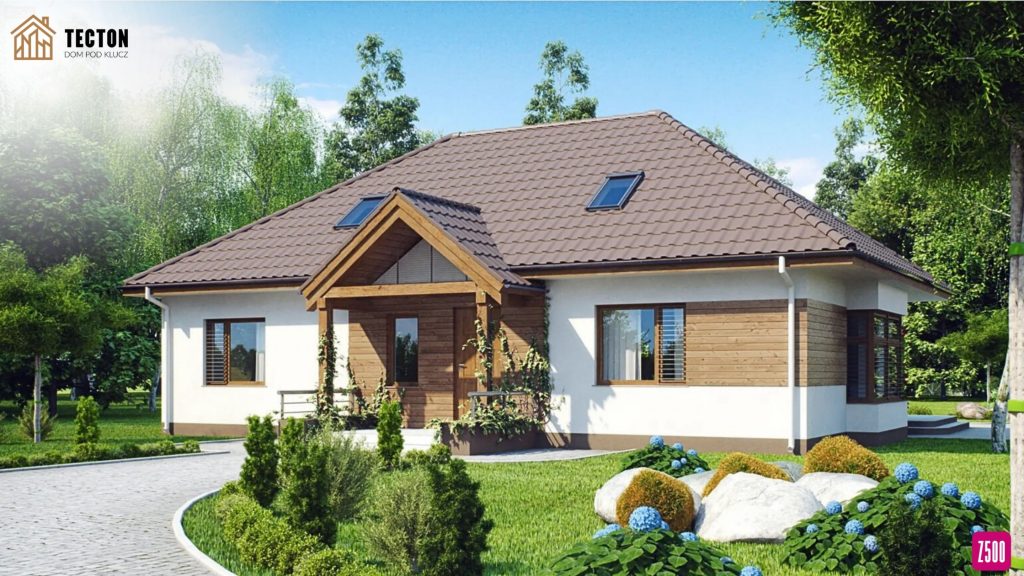 Strona Tecton + Z500 (10)