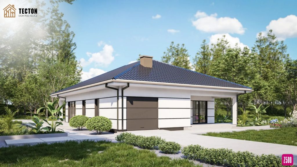 Strona Tecton + Z500 (19)