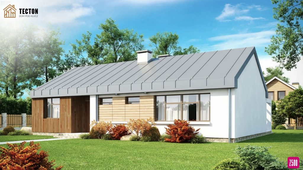 Strona Tecton + Z500 (33)