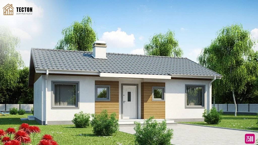 Strona Tecton + Z500 (45)