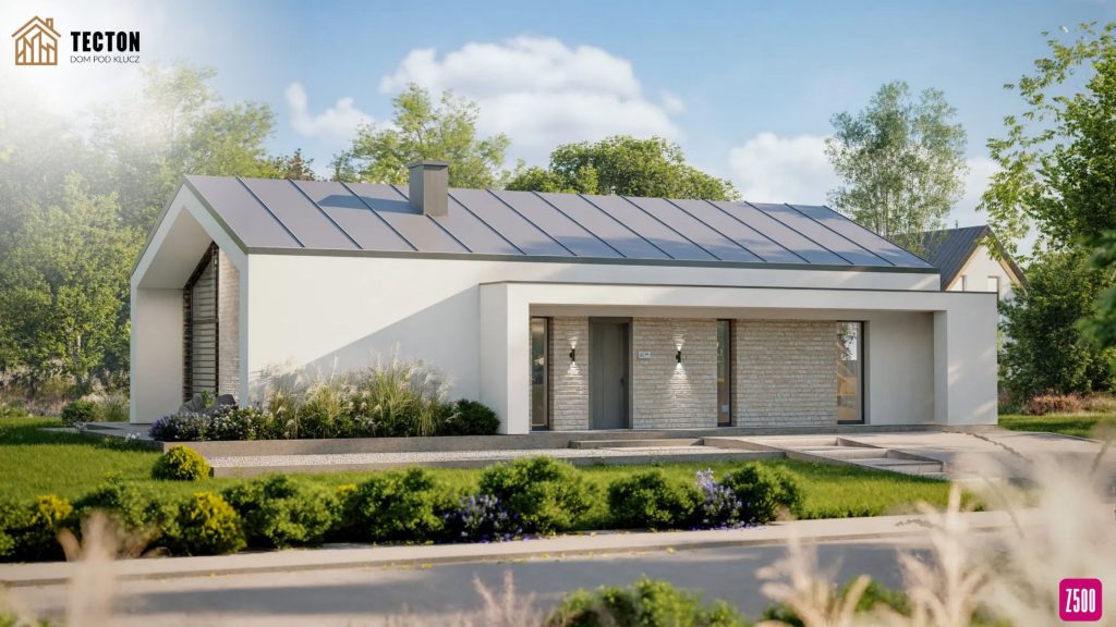 Strona Tecton + Z500 (60)