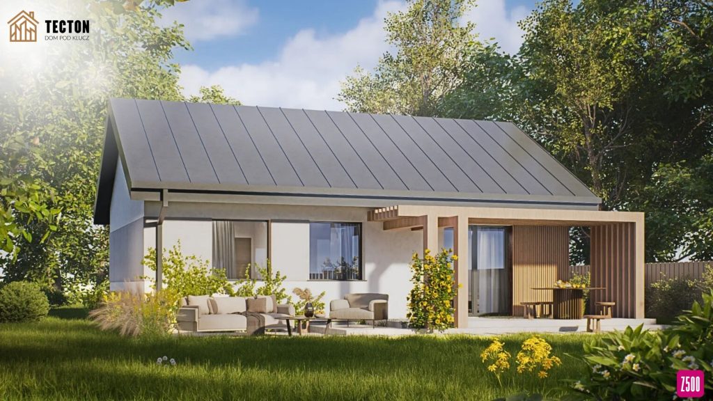 Strona Tecton + Z500 (80)